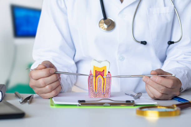 Best Emergency Denture Repair in Three Rivers, MI